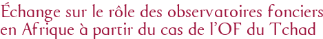 Échange sur le rôle des observatoires fonciers en Afrique à partir du cas de l'OF du Tchad