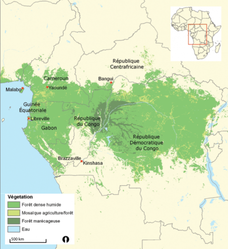 Fig. 1. Carte du Bassin du Congo (Source : World Resources Institute, Des forêts du bassin du Congo pour le climat global, 2011)