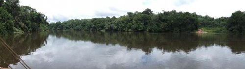 Forêts du Sud Cameroun. Le fleuve Dja. (photo M. Merlet)